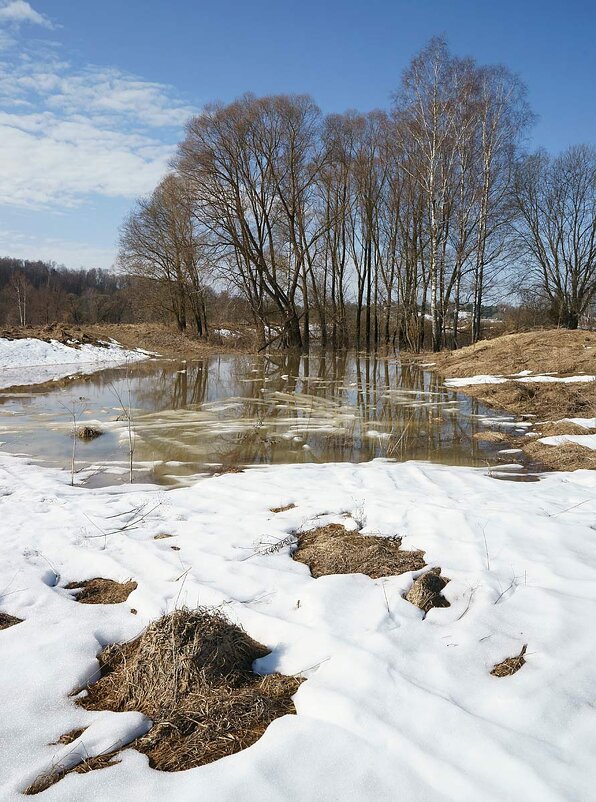 Последний снег в долине Протвы - Сергей Курников