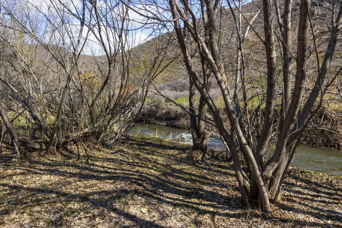 Пока нет листвы,тени в обе стороны ))) - LudMila 