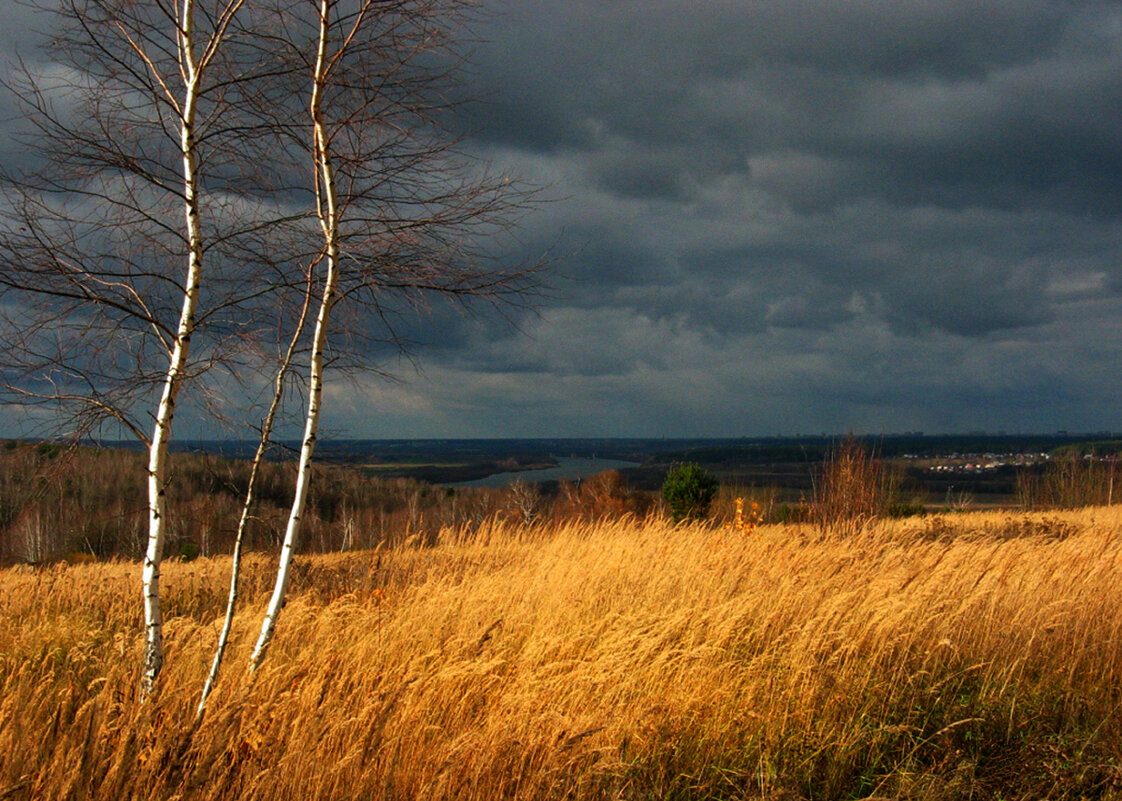 Перед  грозой - Владимир Гришин