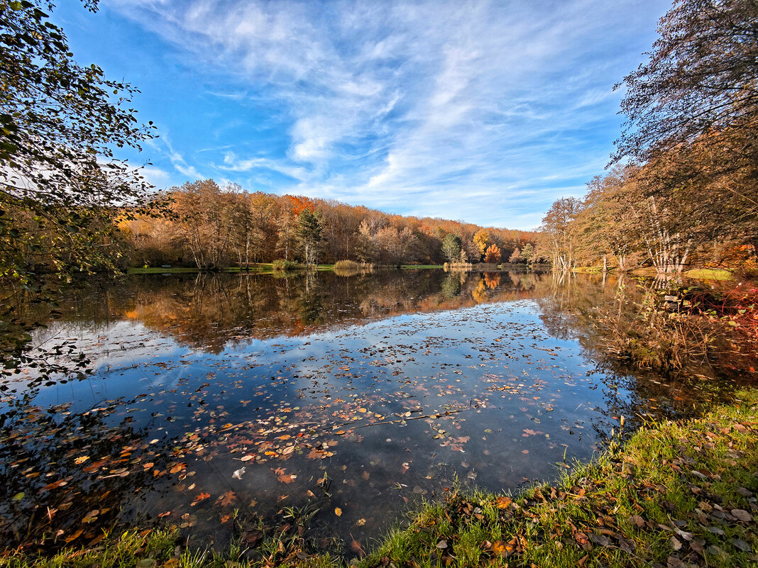 ---------------- - igor G. ---------------- - igor G.