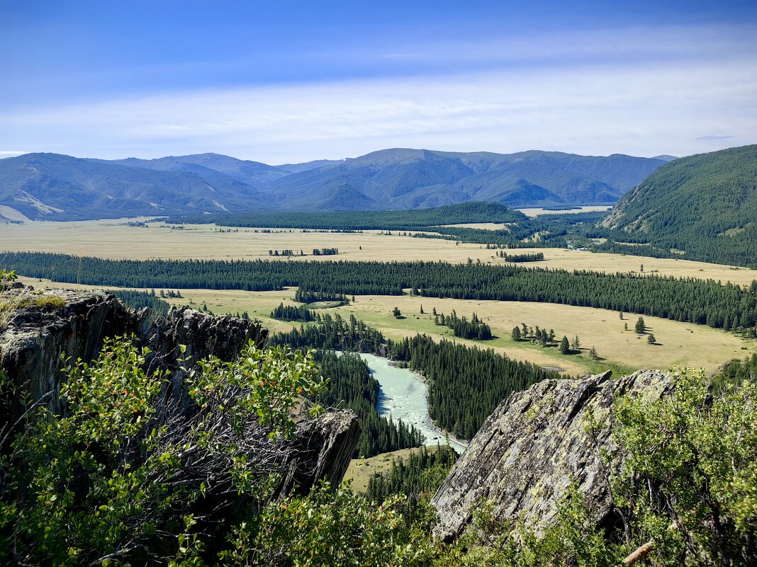 Степь Самаха. - Галина Козлова Степь Самаха. - Галина Козлова