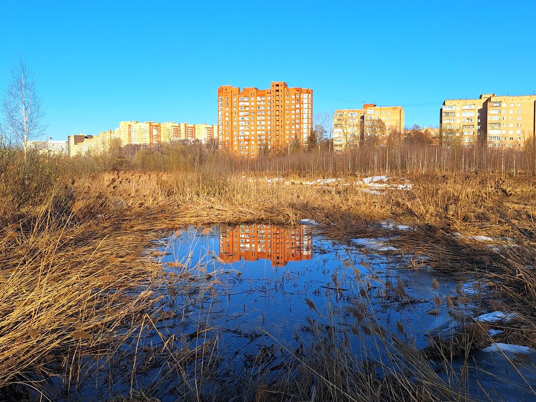 Яуза - Наталья 