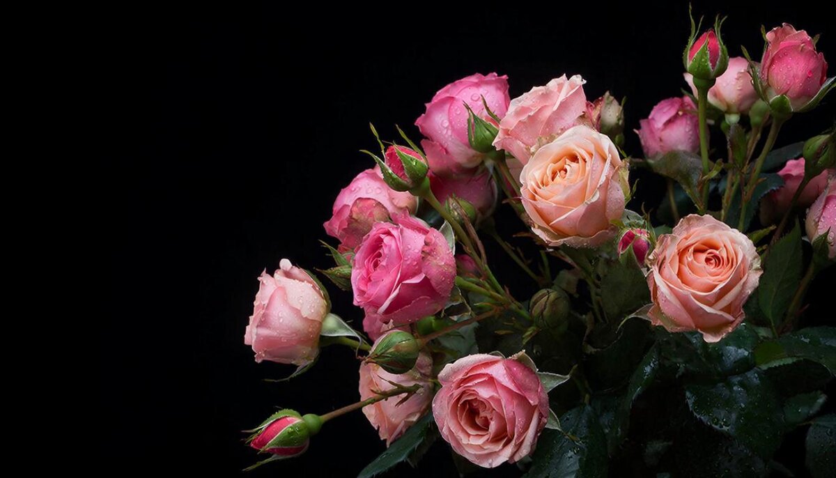 ЦВЕТЫ - МАРИЯ ПОПОВА