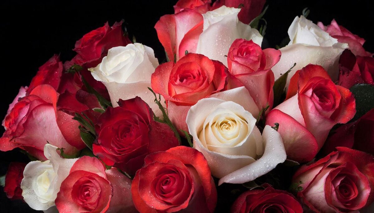 ЦВЕТЫ - МАРИЯ ПОПОВА