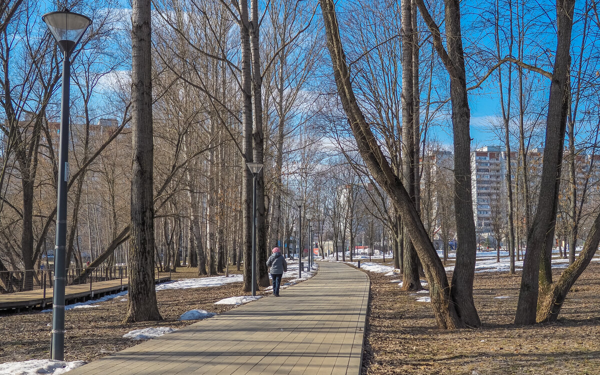 Прогулки в Весеннем Парке - юрий поляков Прогулки в Весеннем Парке - юрий поляков