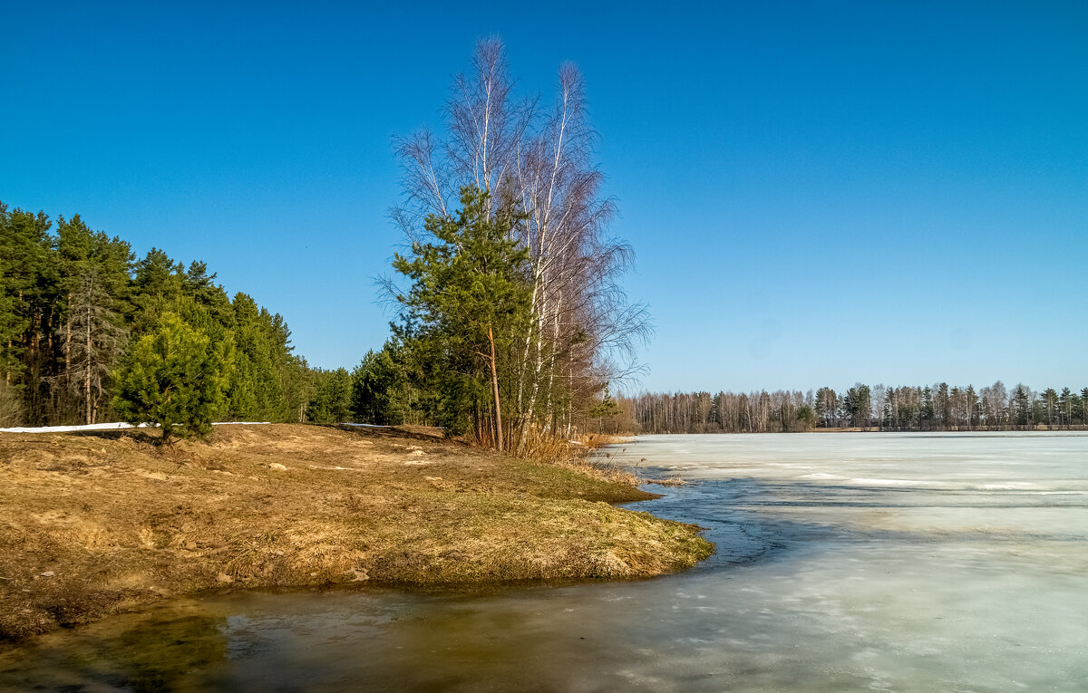 На исходе марта 3 - Андрей Дворников