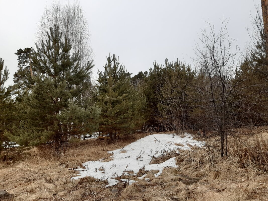 Дела весенние - Галина Минчук