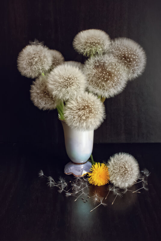 Одуванчики - Игорь 