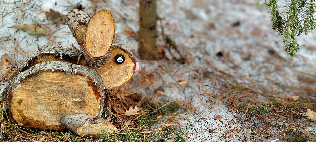 Заяц - Радмир Арсеньев