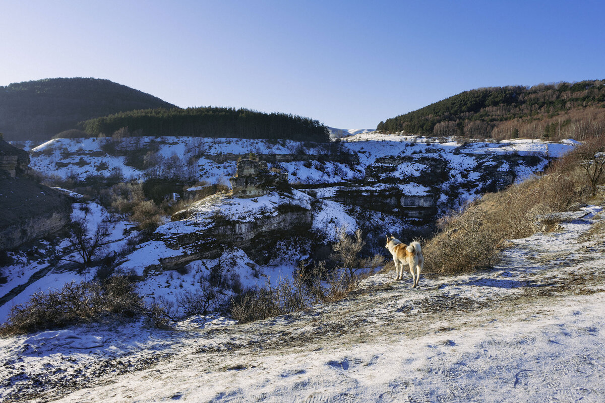 Смотри, какая красота! - Марина Смотри, какая красота! - Марина