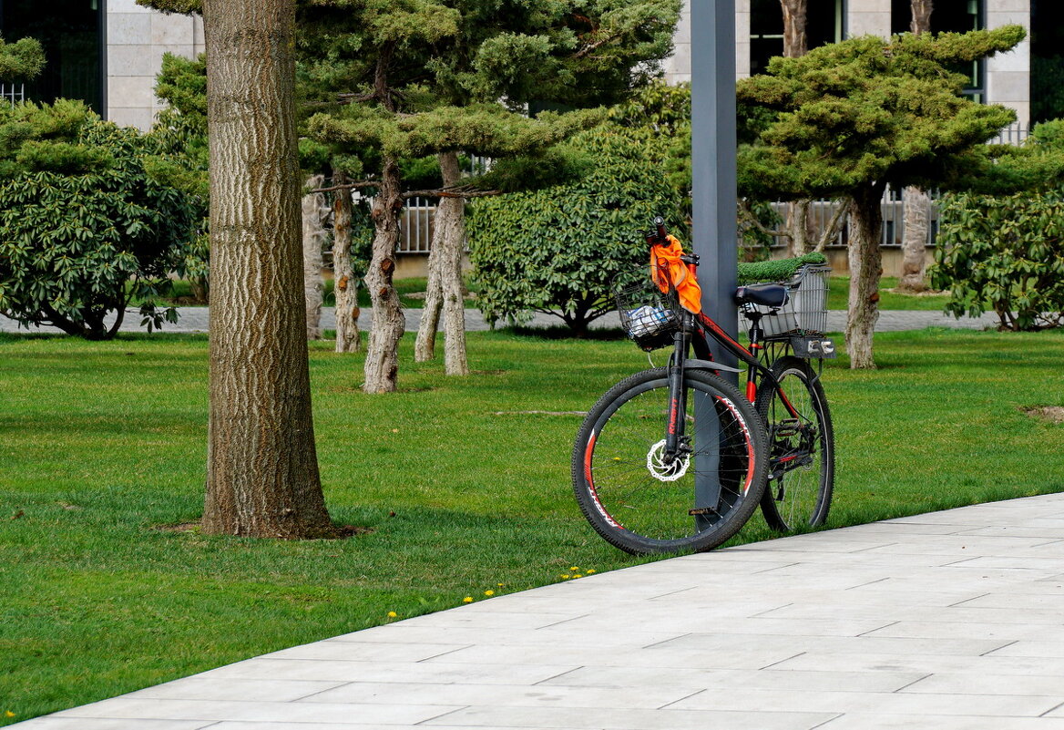 В парке... - Николай Саржанов