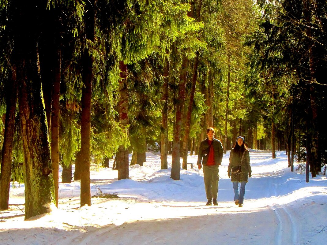 ..мои дети  тоже любят лес.. - galalog galalog