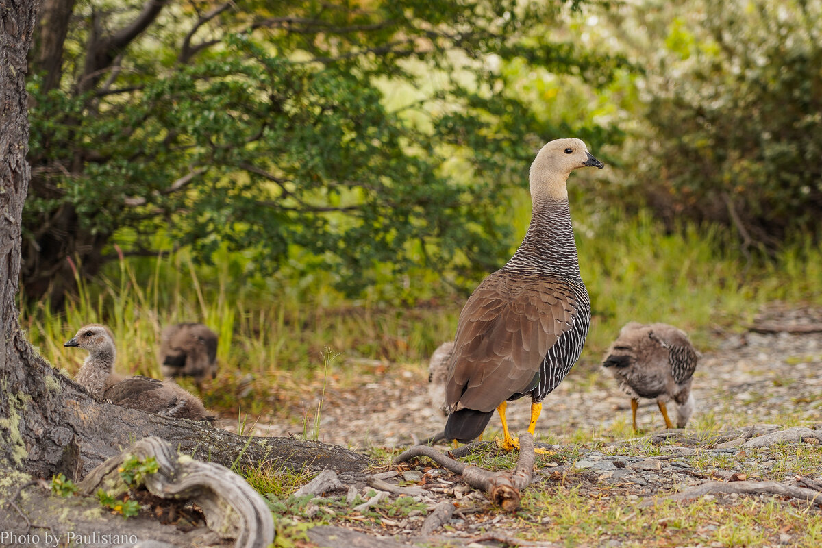 На страже... - Владимир Жданов