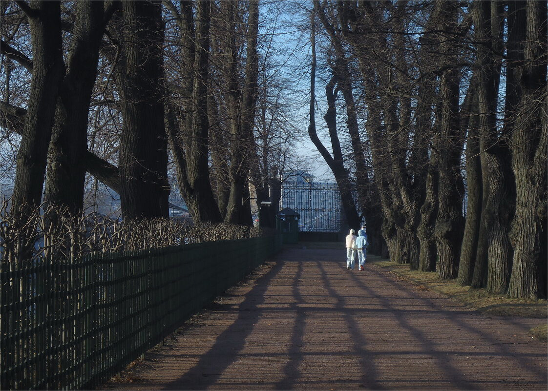 Летний сад в начале весны - sv.kaschuk 