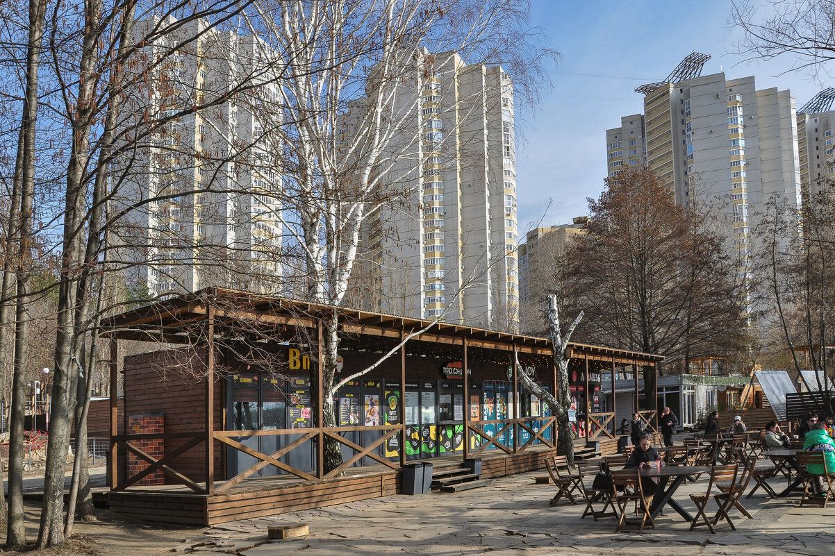 Парк, кафе, столики на воздухе и берёза вписалась - Татьяна Машошина