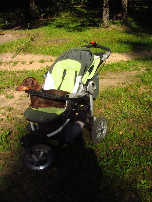 Улыбайтесь, друзья! С 1-м апреля! - Андрей Лукьянов