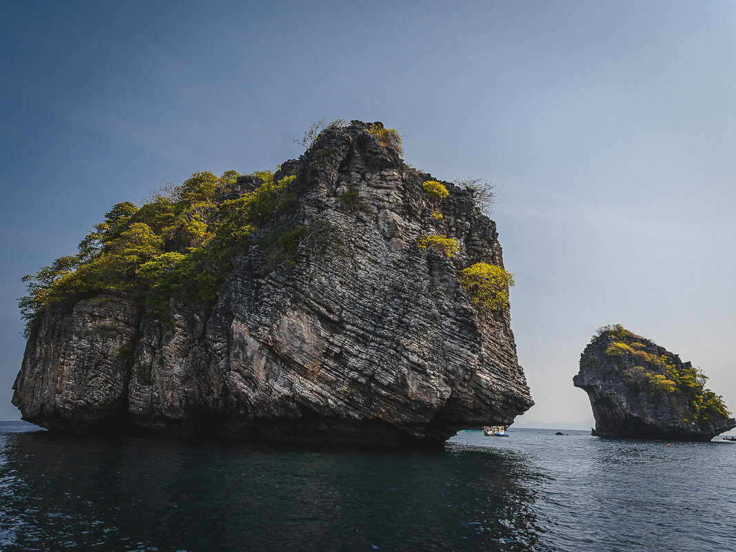 ... - Жора Житников