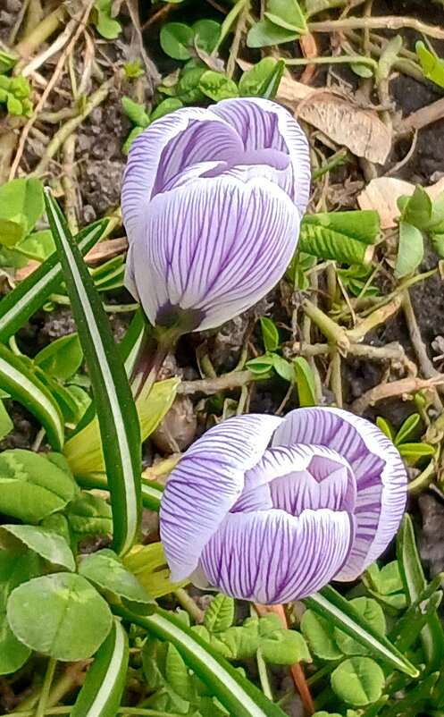 Всё про март - Наталья Герасимова Всё про март - Наталья Герасимова