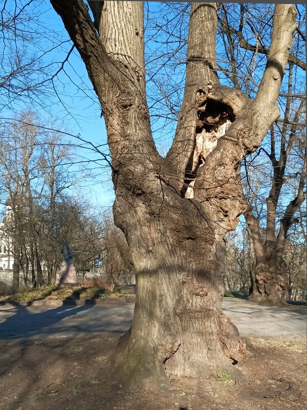 Под мартовским солнцем - Veera V Под мартовским солнцем - Veera V