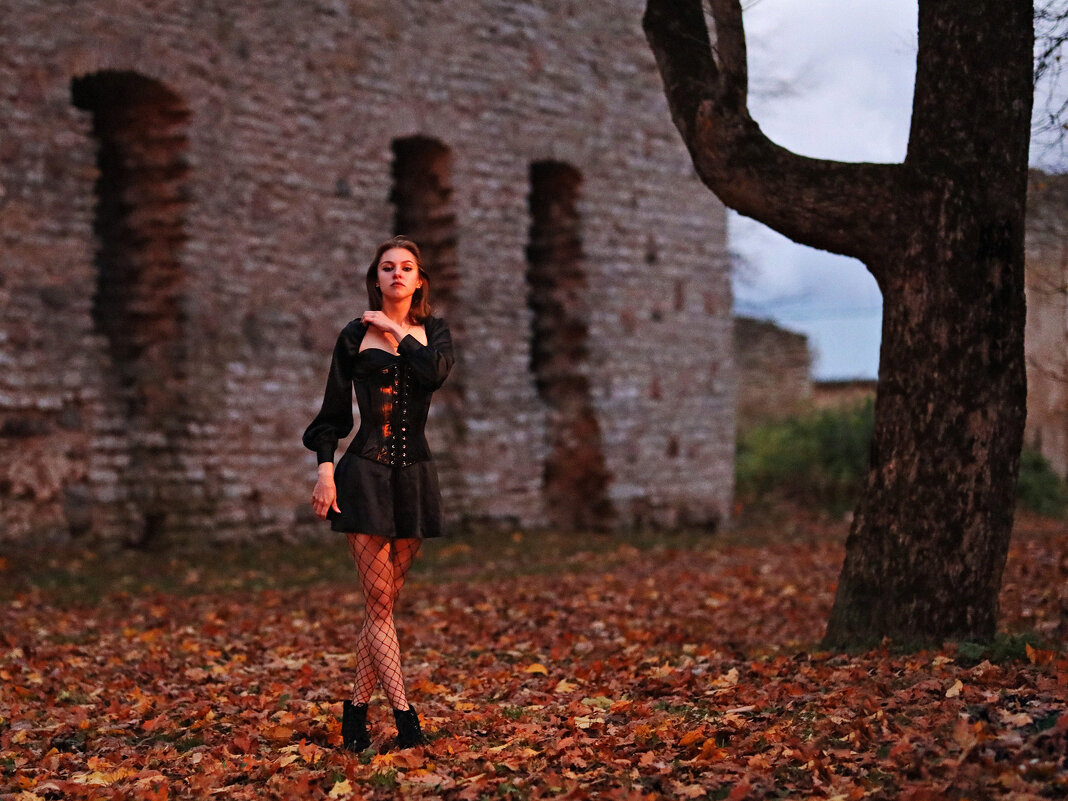 На развалинах графского замка (1) - Игорь Парв На развалинах графского замка (1) - Игорь Парв