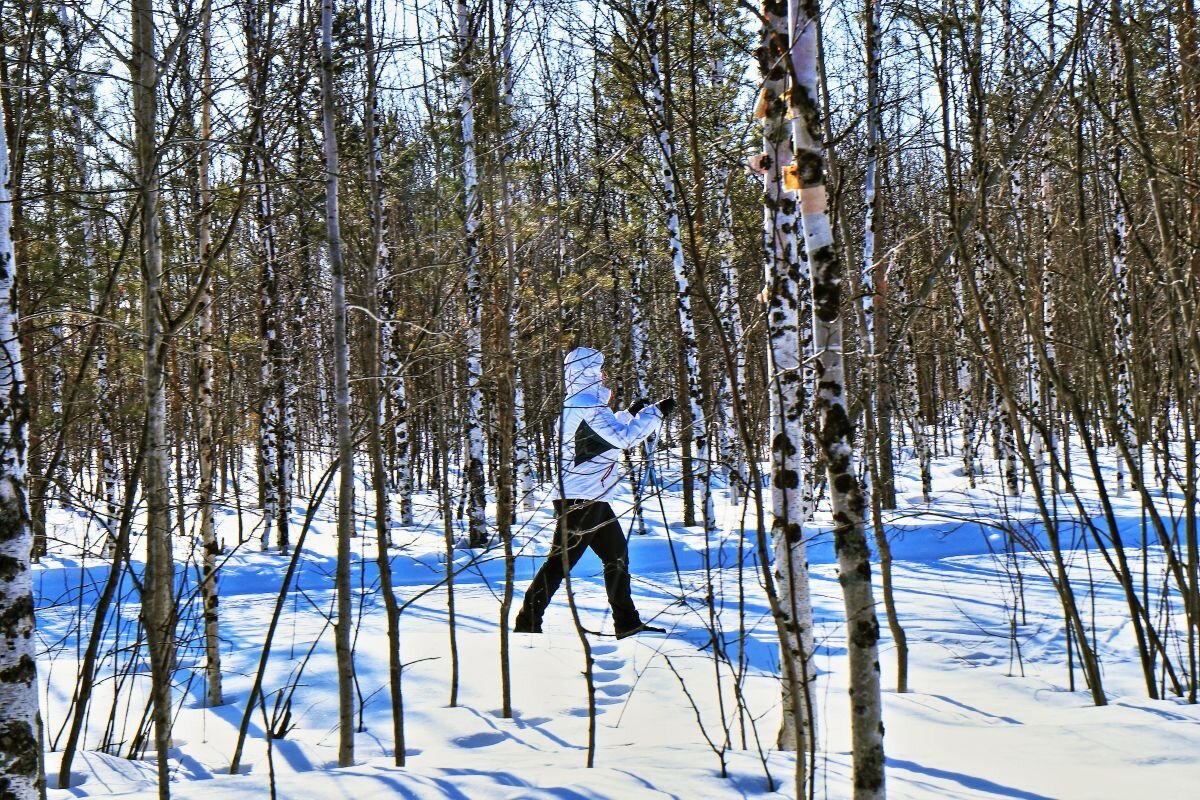 По мартовскому насту! - Владимир 