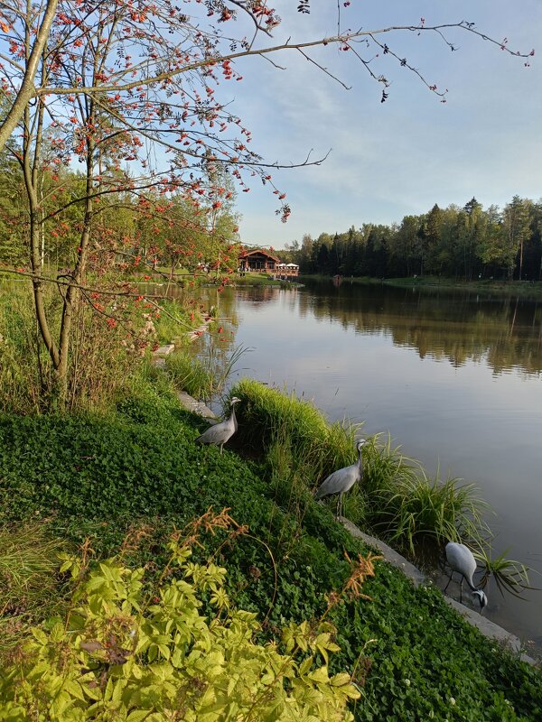 частный природный лесопарк - Галина R...