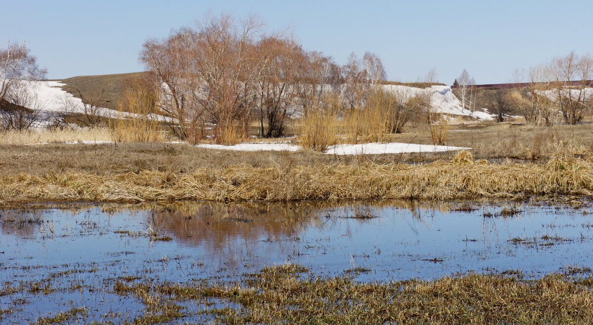 Весна. - сергей ермошкин
