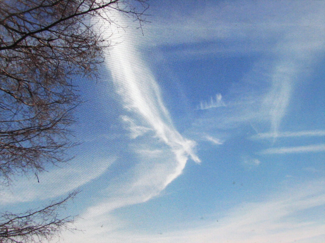 Летящее чудо - Людмила Смородинская