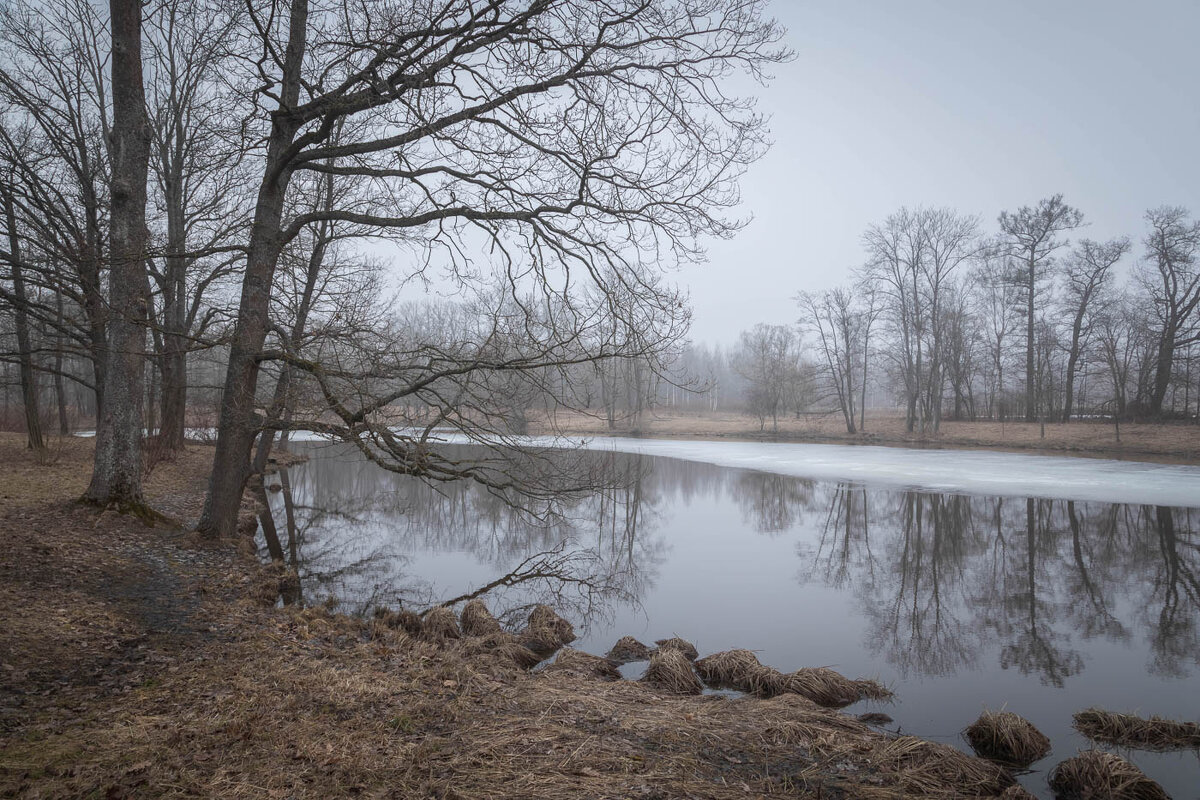 **** - Елизавета .