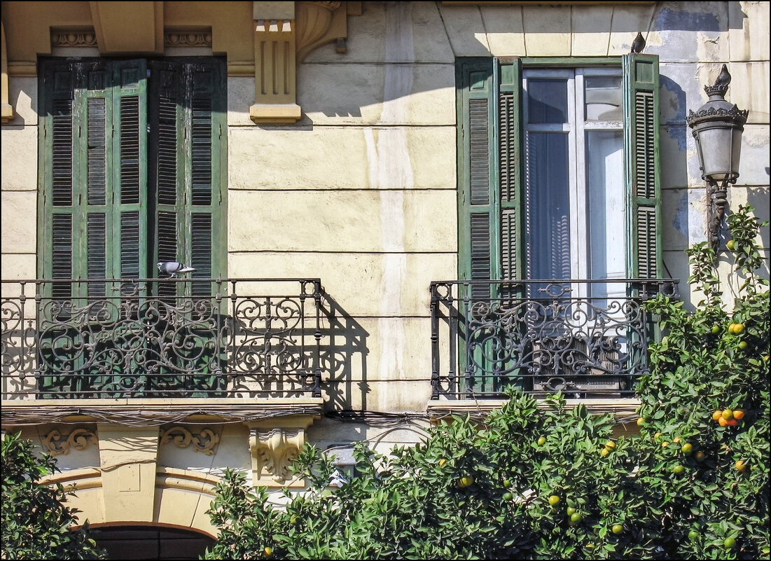 Два окна - **** vedin