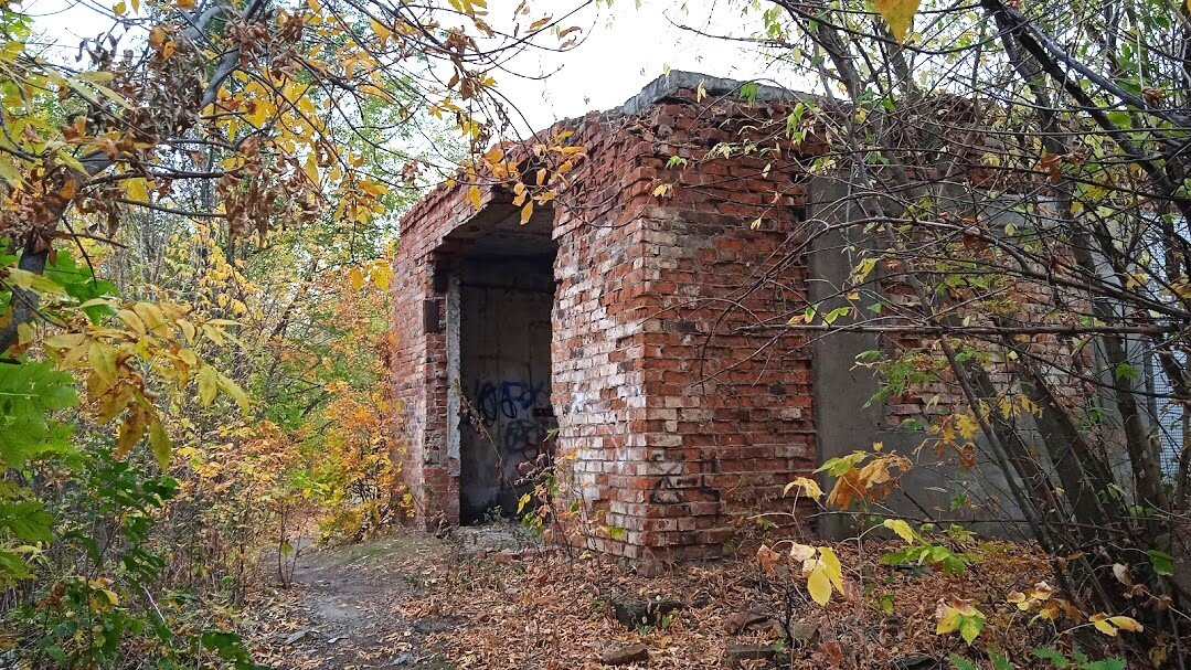 разруха - Елена Шаламова