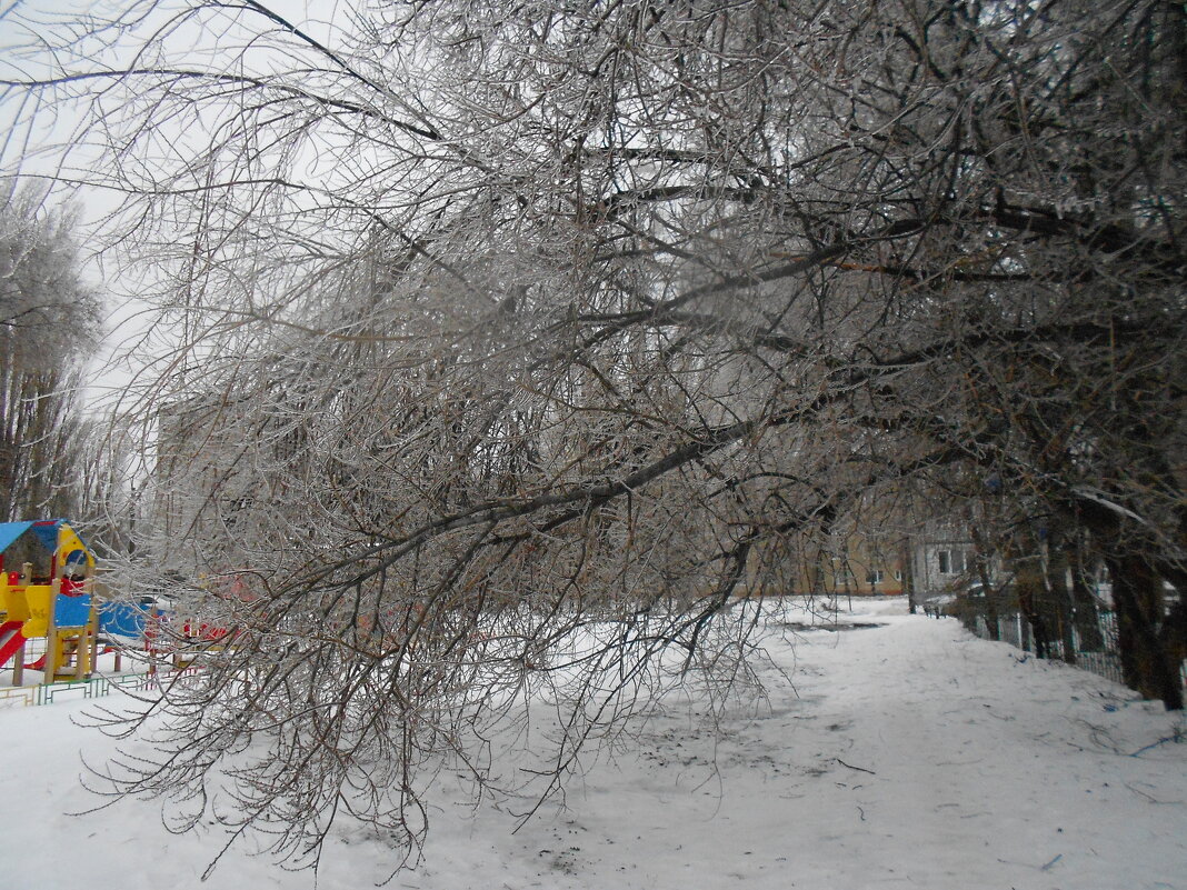 вариации на тему : ледяной день - Елена Шаламова вариации на тему : ледяной день - Елена Шаламова
