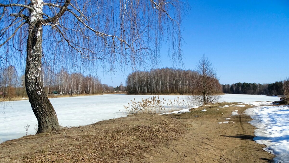Весна в конце марта. - Милешкин Владимир Алексеевич Весна в конце марта. - Милешкин Владимир Алексеевич