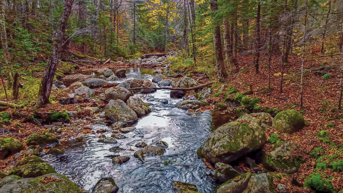 Канада - Aleksey Afonin