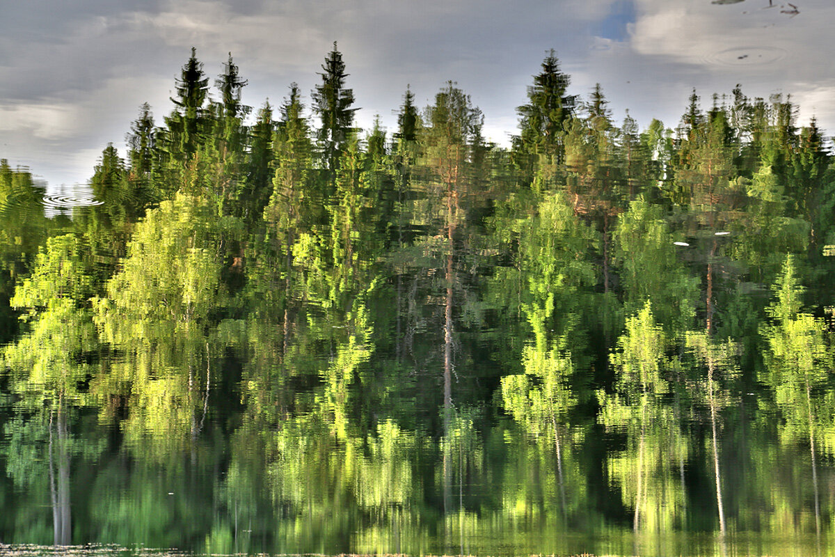 Краски водного отражения - Сергей Сомихин