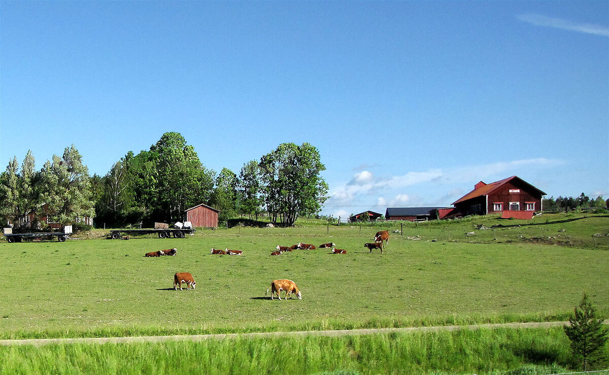 Ферма Гиллинге (Gillinge Gård) - Александр Ильчевский 