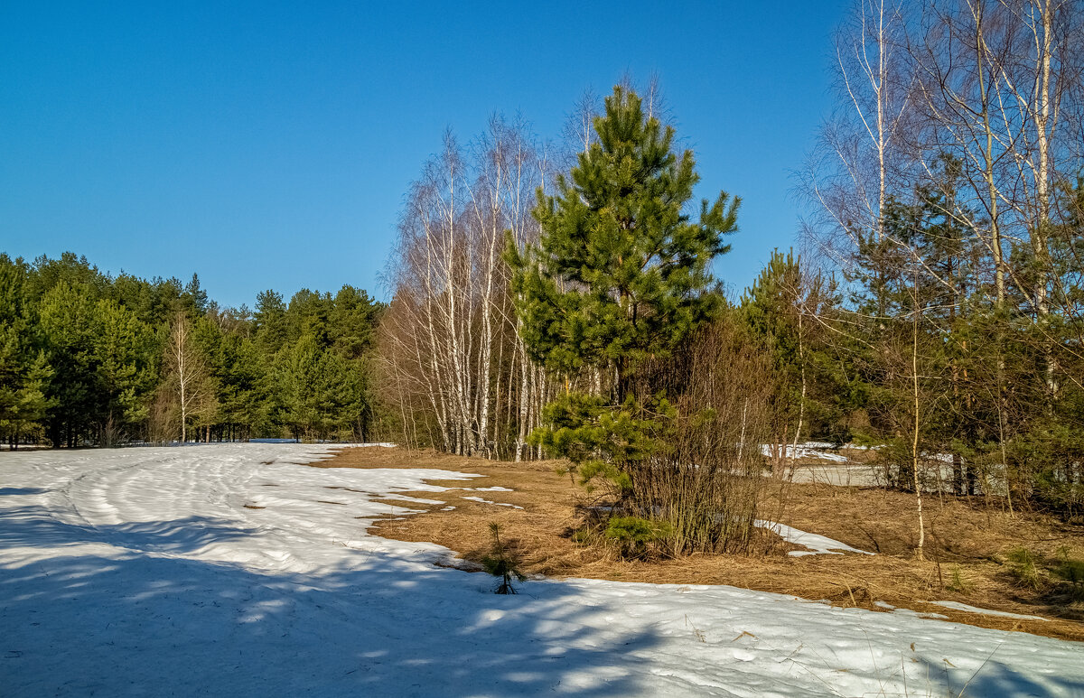 На исходе марта 3 - Андрей Дворников