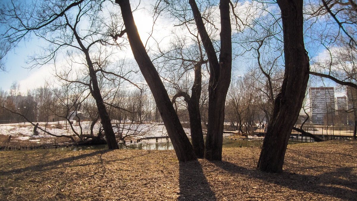 ***** - юрий поляков ***** - юрий поляков