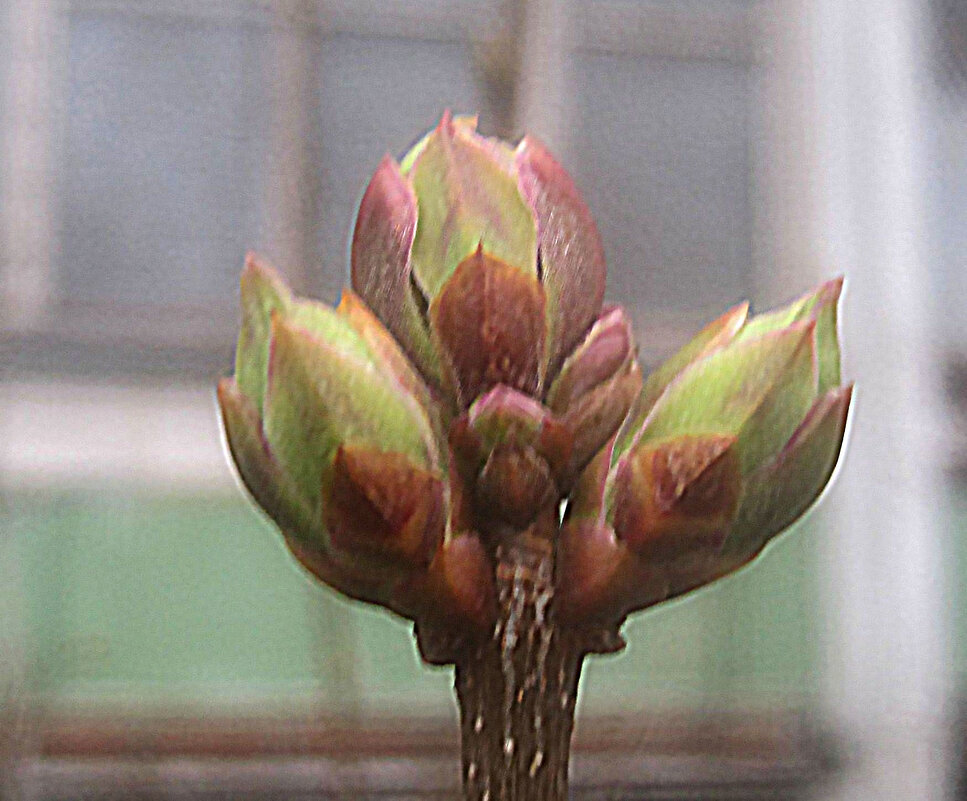 Весеннее - Елена Семигина