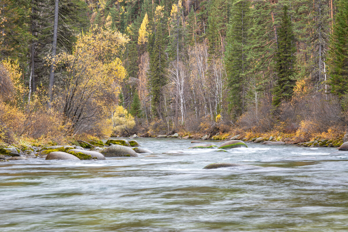 Горная река в Бурятии Ихэ-Ухгунь (большая вода) - Сергей Герасимов Горная река в Бурятии Ихэ-Ухгунь (большая вода) - Сергей Герасимов