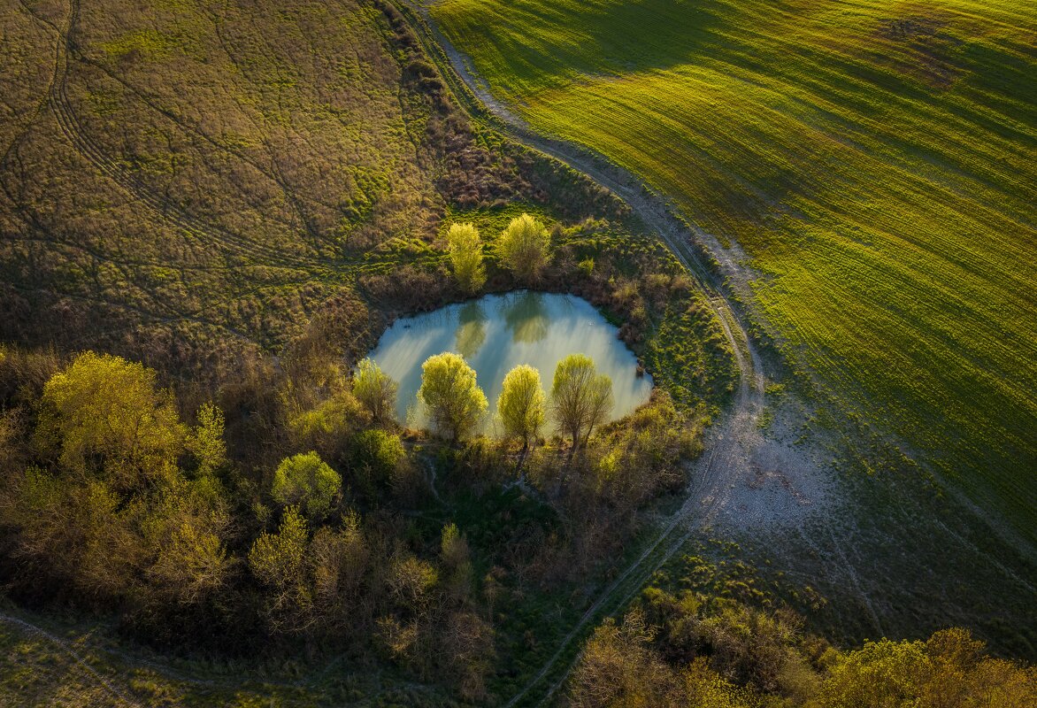 Шепот весны - Алекс Римский