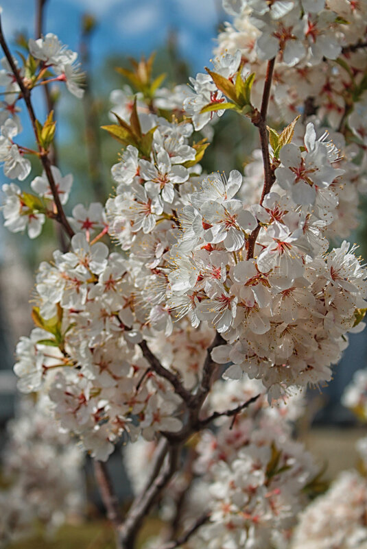 ... - Наталья 