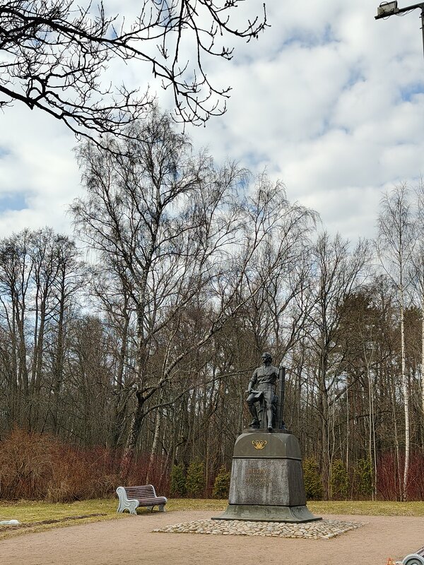 Петр 1 - Андрей 