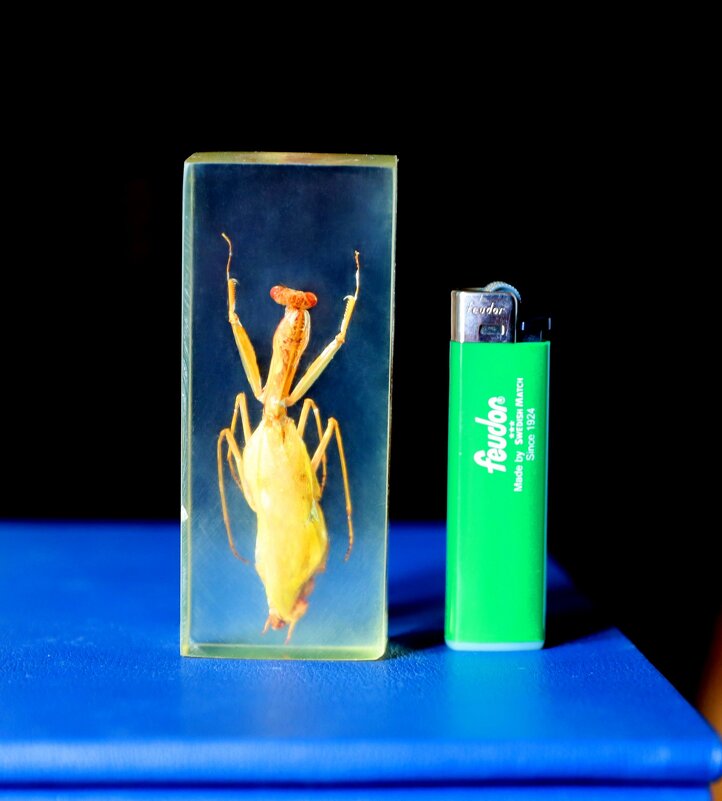 Богомол - Андрей Л. В.