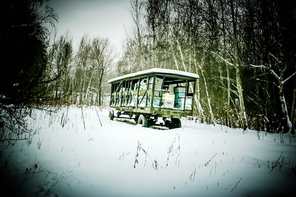 ЛЕСНАЯ ИСТОРИЯ - HART BAD