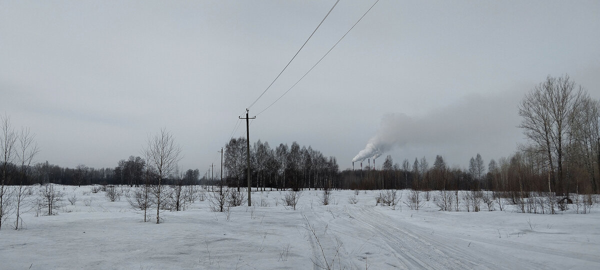 Весна - Радмир Арсеньев