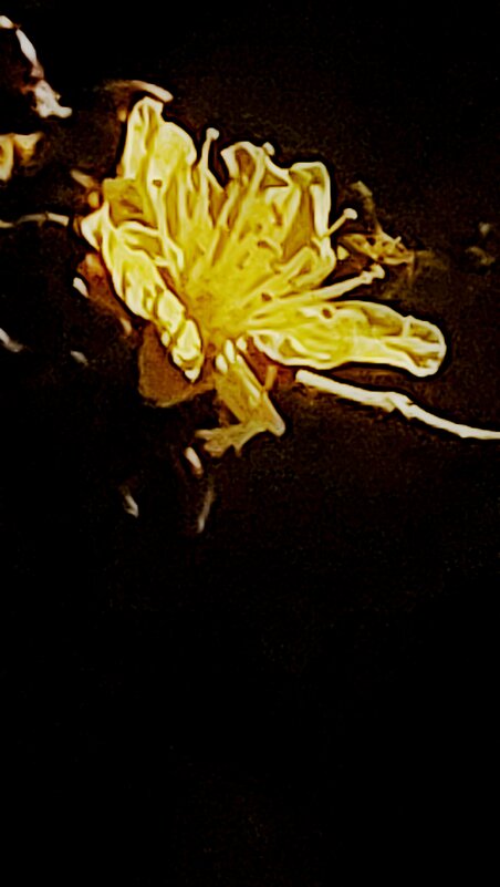 14  КЛОС (78) - СТРЕН 