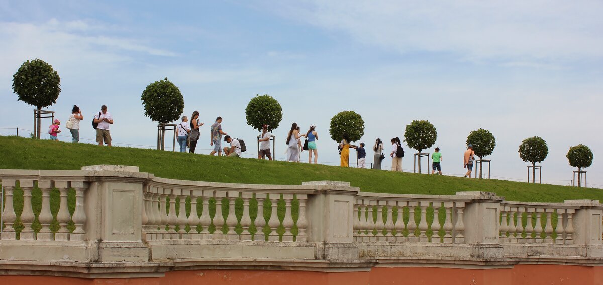 Много гостей - Владимир Соколов (svladmir)