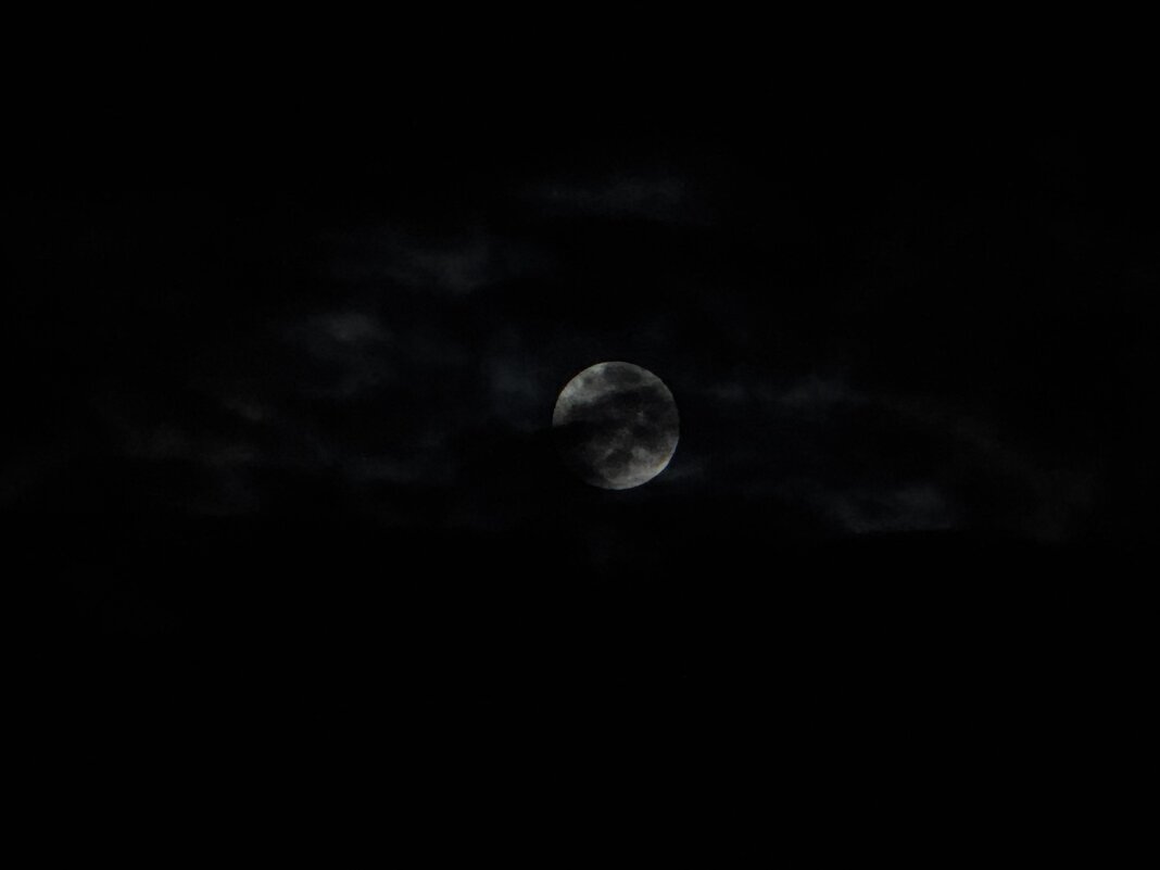 Ночные приветы )) - Анна Камс