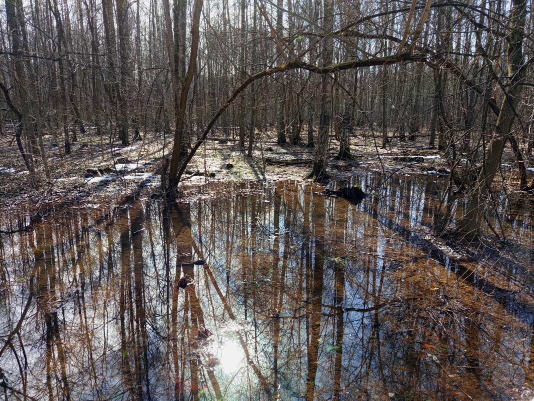 Завтра был апрель - Андрей Лукьянов